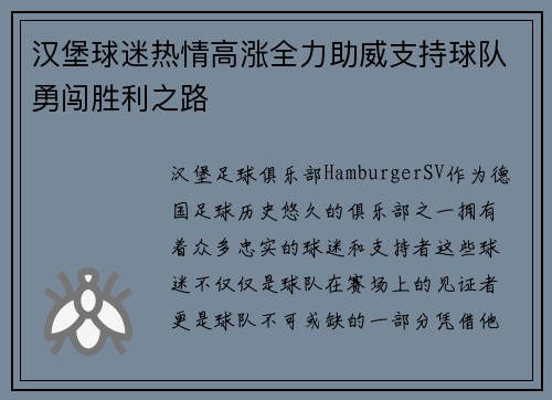 汉堡球迷热情高涨全力助威支持球队勇闯胜利之路