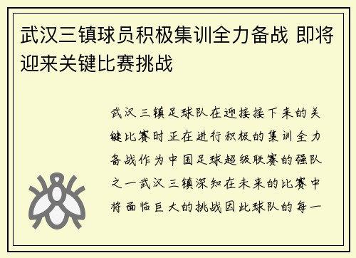 武汉三镇球员积极集训全力备战 即将迎来关键比赛挑战