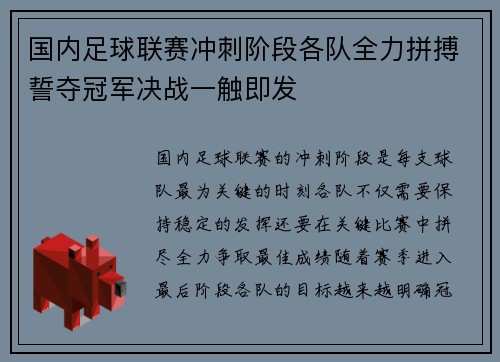 国内足球联赛冲刺阶段各队全力拼搏誓夺冠军决战一触即发
