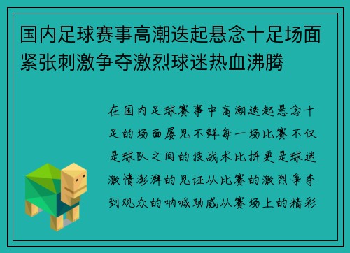 国内足球赛事高潮迭起悬念十足场面紧张刺激争夺激烈球迷热血沸腾